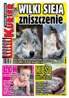 Wydanie nr 11